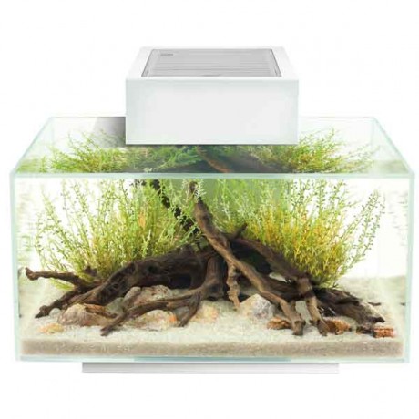 Fluval Edge2 Beyaz 23 L Akvaryum
